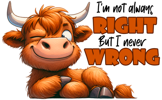 I am not always right